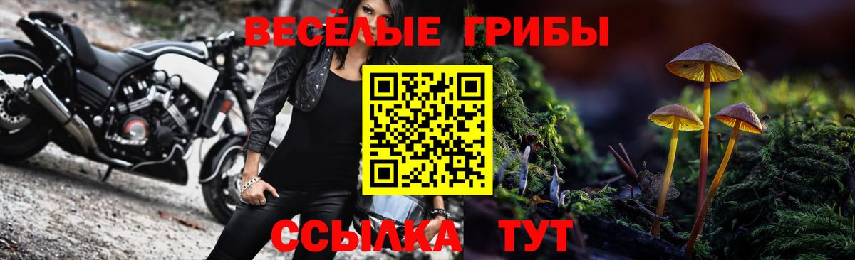 Галлюциногенные грибы прущие грибы Светлоград