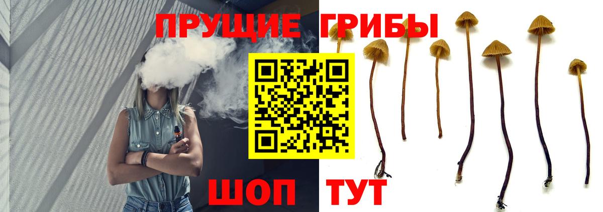Псилоцибиновые грибы ЛСД  Вход с VPN  где можно купить   Светлоград  Галлюциногенные грибы мухоморы 